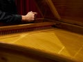 Musician tunes historical harpsichord cembalo with his hands before the concert.