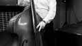 Musician in a white shirt plays the double bass Royalty Free Stock Photo