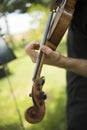 Musicians group playing wedding music