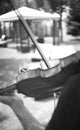 Musicians group playing wedding music