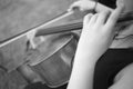 Musicians group playing wedding music