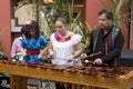 Musicians playing marimba