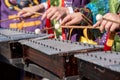 Musicians playing the xylophone at carnival Royalty Free Stock Photo