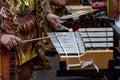 Musicians playing the xylophone at carnival Royalty Free Stock Photo