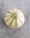 Musk melon the most loved summer fruit