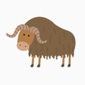 Musk ox illustration for the children