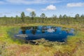 Muskeg area, reflection on water Royalty Free Stock Photo