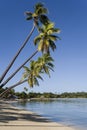 Musket Cove in the Yasawa Islands - Fiji Royalty Free Stock Photo