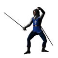 Musketeer en garde Royalty Free Stock Photo