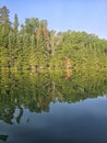 Muskie Waters Tree Reflection