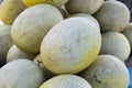 Muskmelon