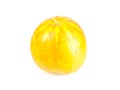 Muskmelon isolated