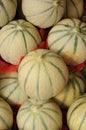 Close up of muskmelon Royalty Free Stock Photo
