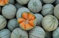 Muskmelons Royalty Free Stock Photo