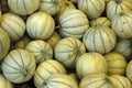 Muskmelons at the market Royalty Free Stock Photo