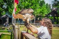 Falconry - Pretty girl works with trained hawk in outdoor areana