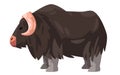 Muskox horned hairy bull vector drawing illustration cartoon