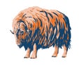 Muskox Musk Ox or Musk-Ox Side View WPA Art