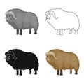 Muskox of stone age icon in cartoon style isolated on white background. Stone age symbol stock vector illustration.