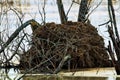 Muskrat House