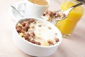 Musli and milk Royalty Free Stock Photo