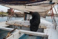 Muslim boatman of the Nile in luxor, Egypt at sunset Royalty Free Stock Photo