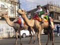 Muslim boys on camel riding in Nairobi