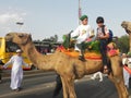 Muslim boys on camel riding in Nairobi