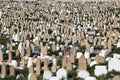 Muslim cemetery
