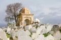 Muslim cemetery. Fes, Morocco