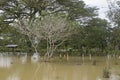 Muslim Cemetery on Flood