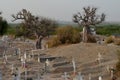 Muslim and Christian graveyard in Joal-Fadiouth, Petite CÃÂ´te, Senegal