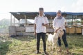 Muslim couple buy a goat for eid adha sacrifice or idul qurban