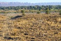 Muslim graveyard in Morocco