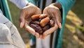 Muslim hands share a fistful of dates. ramadan kareem concept