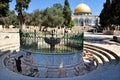 Muslim people visit at Al Aqsa Compound Jerusalem Israel