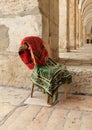 Muslim  prayer rugs hang on a plastic bag on the Temple Mount, in the old city of Jerusalem, in Israel Royalty Free Stock Photo