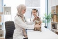 Muslim veterinary petting animal after successful treatment