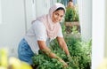 Muslim woman, plant and leaf with portrait for garden, sustainable development and faith or medicine. Gardener, flowers Royalty Free Stock Photo