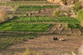 The muslim women sit on the meadow for relax in the evening