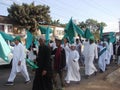 Muslims raising green flags