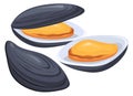 Mussel cartoon icon. Black gourmet shellfish food