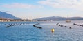 Mussel farm. Cultivation of mussels, rope culture. Beautiful Mediterranean landscape. Montenegro, Kotor Bay Royalty Free Stock Photo