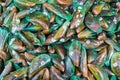 Mussel Fresh At Street Food Market In Thailand
