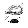 Mussel hand drawn vector illustration. Engraved style vintage seafood. Oyster sketch. Royalty Free Stock Photo