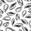 Mussel hand drawn vector seamless pattern. Engraved style vintage seafood. Oyster background Royalty Free Stock Photo