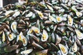 Mussel on ice in Thailand market ,seafood background ,seafood market ,raw food Royalty Free Stock Photo