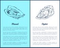 Mussel and Oyster Vector Double Color Graphic Royalty Free Stock Photo