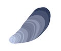 Mussel, sea clam. Closed seashell, mollusk. Marine mussle mollusc. Undersea shellfish, shell. Flat vector illustration