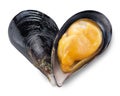 Mussel in a shape of heart. Royalty Free Stock Photo